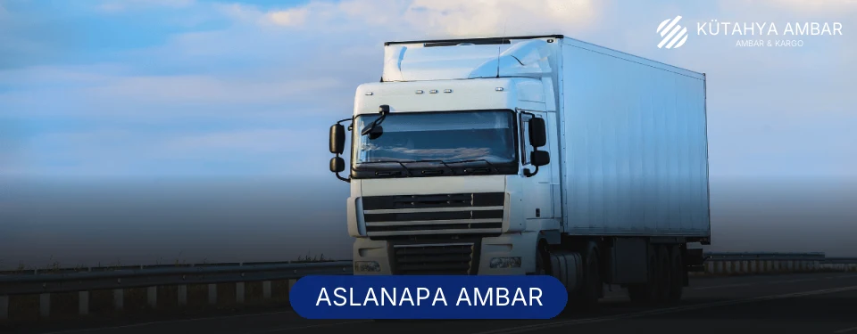 Aslanapa Ambar