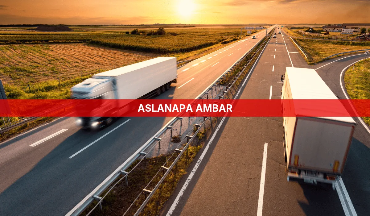 Aslanapa Ambar