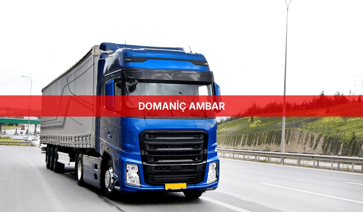 Domaniç Ambar